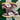 2007 Nike Dunk Low 6.0 Mink (7US-8.5wmns) - outkits.com