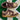 2007 Nike Dunk Low CL Corduroy (10.5US) - outkits.com
