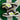 2007 Nike Dunk Low Volt Army Olive (US9.5) - outkits.com