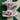 2007 Nike Dunk Pink Denim Splatter (US6.5-8wmns) - outkits.com