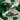 2008 Nike 6.0 Dunk Low Silver Green (US11) - outkits.com