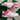 2008 Nike Dunk Low White Vivid Pink (US12) - outkits.com