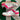 2008 Nike Dunk Low White Vivid Pink (US12) - outkits.com