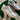 2008 Nike Dunk White Gum (US12) - outkits.com