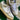 2008 Nike Dunk White Gum (US12) - outkits.com