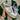 2008 Nike Dunk White Gum (US12) - outkits.com