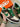 2009 Nike Dunk 6.0 Hemp (12US) - outkits.com