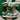 2009 Nike Dunk 6.0 Hemp (12US) - outkits.com
