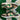 2009 Nike Dunk Low 6.0 Hemp (12US) - outkits.com