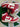 2009 Nike Dunk University Red (US12) - outkits.com
