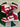 2009 Nike Dunk University Red (US12) - outkits.com