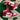 2009 Nike Dunk University Red (US12) - outkits.com