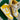 2011 Nike Dunk High Canary Yellow Sail Pack (US11.5) - outkits.com