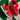 2012 Nike SB Dunk Low Challenge Red (US10.5) - outkits.com