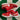 2012 Nike SB Dunk Low Challenge Red (US10.5) - outkits.com