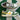 2006 Nike Dunk Low 6.0 Dijon Tree Line (US12) - outkits.com