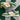 2006 Nike Dunk Low 6.0 Dijon Tree Line (US12) - outkits.com