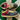 2007 Nike SB Dunk Low Coral Snake (US12) - outkits.com