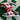 2009 Nike 6.0 Dunk Low Black Red Jet Stream (US14) - outkits.com