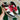 2009 Nike 6.0 Dunk Low Black Red Jet Stream (US14) - outkits.com