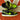 2010 Nike SB Dunk Low Neon J - Pack (US11) - outkits.com