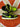 2010 Nike SB Dunk Low Neon J - Pack (US11) - outkits.com
