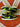 2010 Nike SB Dunk Low Neon J - Pack (US11) - outkits.com