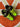 2010 Nike SB Dunk Low Neon J - Pack (US11) - outkits.com