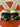 2010 Nike SB Dunk Low Neon J - Pack (US11) - outkits.com