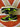2010 Nike SB Dunk Low Neon J - Pack (US11) - outkits.com
