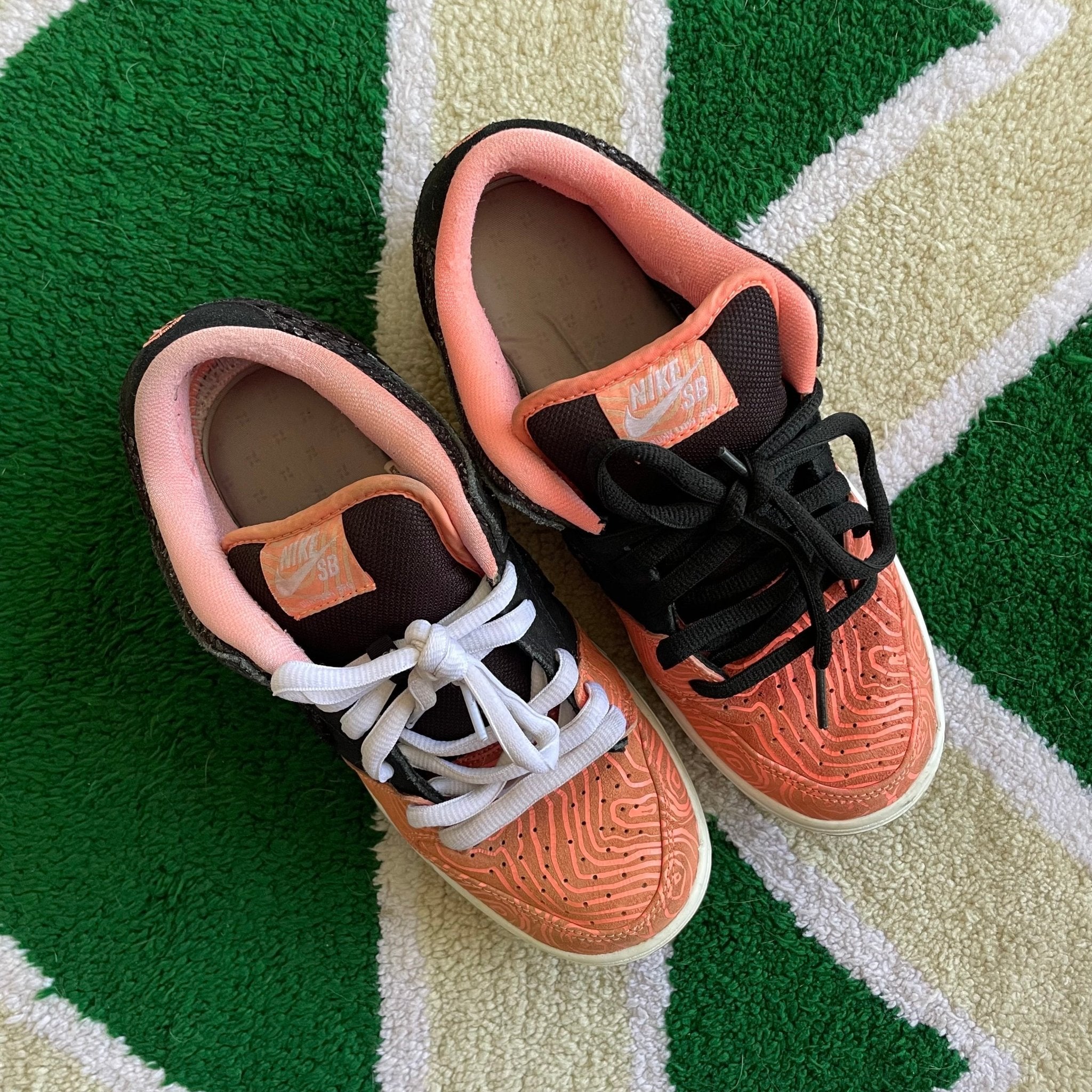 Ladder Collection Nike Dunk Low Fish Ladder 2015 Nike SB Dunk Low