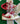 2002 Nike Dunk Pro B Mushroom (4.5US-6wmns)