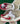 2002 Nike Dunk Pro B Mushroom (6.5US-8wmns) - outkits.com