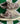 2003 Nike Dunk Low Camo Olive (US13)