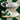 2005 Nike Dunk Low CL Pine Green (US12) - outkits.com