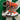 2005 Nike Dunk Oompa Loompa (8US) - outkits.com