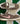 2006 Nike Dunk Low CL Hemp Ironstone Bubblegum (10.5US)