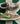 2007 Nike Dunk 6.0 Medium Brown (10US)