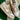 2007 Nike Dunk CL Birch White Tan Tweed DS (US11) - outkits.com