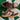 2007 Nike Dunk CL Corduroy (11.5US) - outkits.com