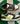 2007 Nike Dunk Low Volt Army Olive (US9.5) - outkits.com