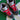 2007 Nike SB Dunk High MF Doom (US9.5) - outkits.com