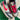 2009 Nike Dunk Low Spike Lee (US10) - outkits.com
