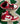 2009 Nike Dunk University Red (US12) - outkits.com