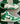 2010 Nike Dunk High Lucky Green (US11.5) - outkits.com
