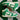 2010 Nike Dunk High Lucky Green (US11.5) - outkits.com