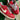 2012 Nike Dunk Low Sports Red (US9.5) - outkits.com